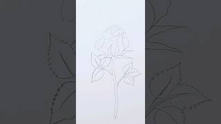 quotStepbyStep Rose and Leaves Sketch 🌹🍃 short IsmatAraArtGalleryquot [upl. by Quackenbush]