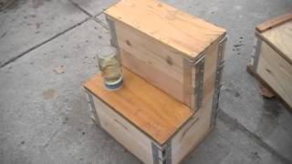 Eco Bee Box Utah Hive  ideal for honey comb production [upl. by Kermit]