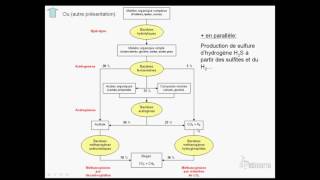 méthanisation 2sur12 Procédé biologique [upl. by Enohpets]