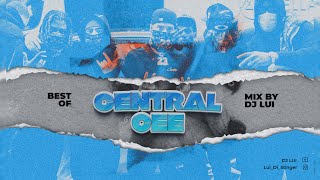 CENTRAL CEE MIX 2023 DjLui Centralcee [upl. by Norita325]