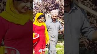 punjabusongsjaan punjabi Harjit Harman song Jatti [upl. by Ehling]