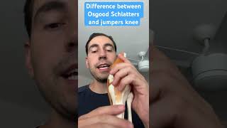 Difference between Osgood Schlatters and jumpers knee treatment shorts [upl. by Sivrep763]