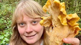 National Mushroom Day  PNW Chanterelles King Boletes Cauliflower and Hedgehogs [upl. by Niroht]