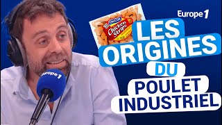 Les origines du poulet industriel avec David CastelloLopes [upl. by Enitsyrk]