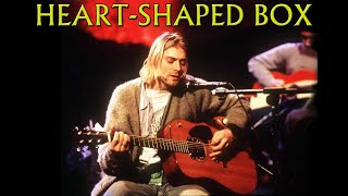 Nirvana  HeartShaped Box MTV Unplugged [upl. by Acinonrev113]