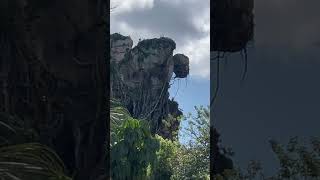 Avatar disney animal kingdom Orlando Florida [upl. by Yhtir494]