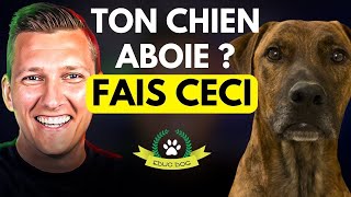 Chien qui aboie  la solution pour lempêcher daboyer  EDUC DOG [upl. by Otreblif828]