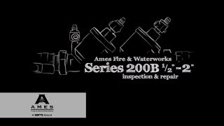 Series 200B ½quot 2quot Backflow Preventer Repair  Watts Repairs [upl. by Leilamag]