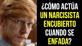 ¿Cómo expresan los NARCISISTAS ENCUBIERTOS la IRA NARCISISTA [upl. by Dranyer]