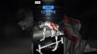 Full BACK and BICEPS workout 🤩 with Lyfta App [upl. by Harding]