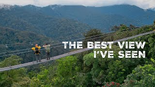 Hiking Through the Nyungwe National Park in Rwanda [upl. by Schatz]