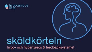 Sköldkörteln hypotyreoshypertyreos amp Feedbacksystemet [upl. by Enid]