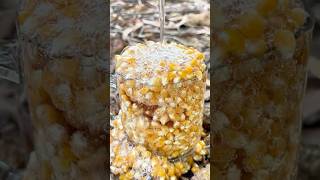 Make POPCORN in Minutes at Home [upl. by Maupin]