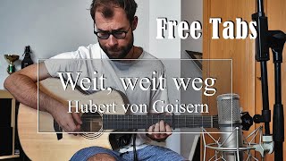 Weit weit weg  Hubert von Goisern amp Die Alpinkatzen  Fingerstyle Guitar Cover [upl. by Chancey]