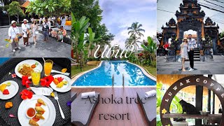 Ashoka Tree Resort Ubud Bali Honeymoon Trip  Tanah Lot Temple balitrip trip honeymoon vacation [upl. by Annez483]