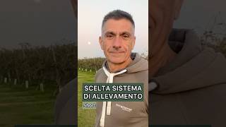 Scelta del sistema di allevamento agriculture viticulture viticoltura [upl. by Buchheim]