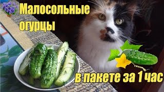 Хрустящие малосольные огурцы в пакете за 1 час Быстрый и вкусный рецепт [upl. by Krusche]