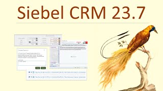 Siebel CRM 237 Update Summary  Shake Your Tail Feathers [upl. by Carry]