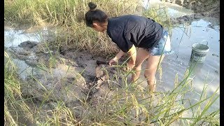 Amazing beautiful girl Fishing in the field  How to Catch Fish at battambang  part 09 [upl. by Sophia139]