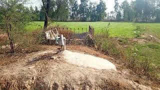 Today I am developing the biogas plant built 50 years ago in Pakistan Village Blogging [upl. by Ojytteb]