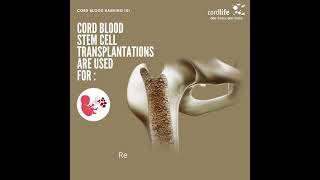 Cord Blood Banking 101  Applications of Cord Blood Stem Cells [upl. by Hgielra]