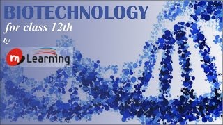 BIOTECHNOLOGY INTRODUCTION  01 For Class 12th and AIPMT [upl. by Nirrak]