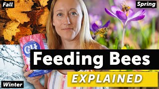 FEEDING BEES EXPLAINED  Spring Summer Fall Winter amp Dearths [upl. by Nalyak4]