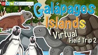 Galápagos Islands – Virtual Field Trip 2 [upl. by Rosemare]