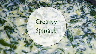 CREAMY SPINACH SOUTH AFRICAN YOUTUBER [upl. by Forest]