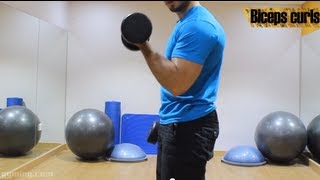 شرح تمرين biceps curls للمبتدئين  Gymingcom [upl. by Gerstner683]