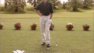 Golf  Perfección por la Práctica David leadbetter 3 de 7 spanish [upl. by Meeharb993]