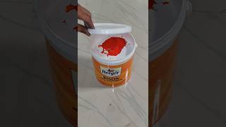 interior paint shade  wait for end satisfying ytshorts [upl. by Hough]