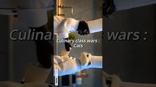 Culinary class wars  Cats [upl. by Brogle951]