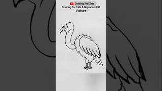 How To Draw A Vulture  drawingartclinic art drawing artist birds vultures draw yt [upl. by Eadwina283]