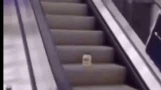 Mayonnaise on an Escalator full song [upl. by Rebmac245]