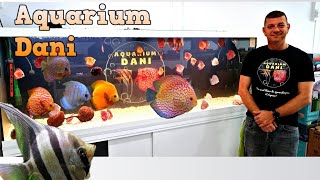 TIENDA Acuariofilia BARCELONAAquarium Dani [upl. by Sofie]