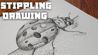 Stippling Drawing 41  How to Draw Lady Bug Using Dots  Pen amp Ink Drawing  Stippling Art [upl. by Rauch]