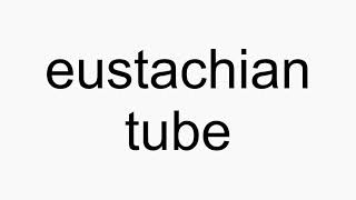 How to pronounce eustachian tube [upl. by Sajet66]