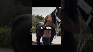 zamykam oczy 👀👁️ horse edit horseracing equestrian dressage pony riding horsejumping love [upl. by Rab889]