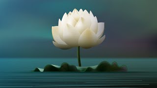 Buddha Instrumental Music BEST Collection ⭐ Buddhism Crystals Music Playlist Buddhist Songs BGM [upl. by Cicily]