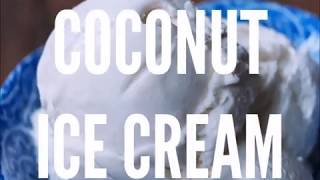 Homemade Coconut Ice Cream  4 Ingredients [upl. by Aropizt]