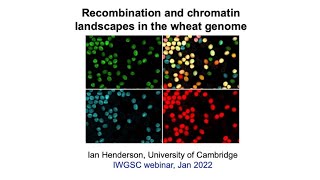 Recombination and chromatin landscapes in the wheat genome [upl. by Millan687]