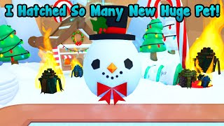 I Hatched So Many New Holiday Huge Pets In Pets Go [upl. by Neelrac36]