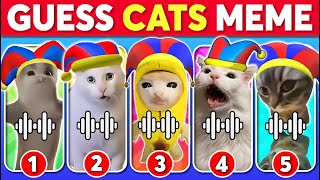 GUESS CATS MEME  The Amazing Digital Circus Chipi Chipi Chapa Chapa Cat Happy Cat Banana Cat [upl. by Einned975]