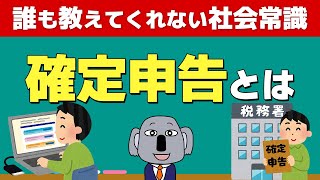 確定申告って何？なぜみんな面倒くさがる？基本から解説します！ [upl. by Edals]