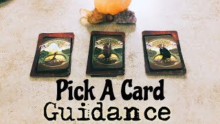 🖤Pick A Card🖤 Guidance deep af For The Tired or Broken🌙 [upl. by Amre]