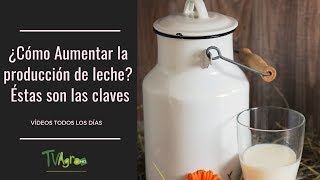 ¿Cómo AUMENTAR la producción de LECHE Éstas son las CLAVES TvAgro por Juan Gonzalo Angel [upl. by Ennovihs]