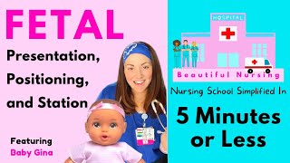 ✅ Fetal Positions Presentation amp Station ✅ Explained in 5 Minutes or Less [upl. by Tiphany96]