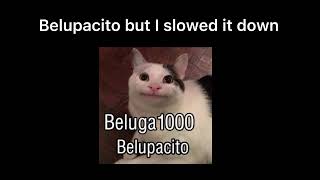 Belupacito slowed [upl. by Eerrahs465]