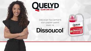 Décoller facilement du papier peint avec Emmanuelle Rivassoux  Dissoucol Quelyd [upl. by Oly]